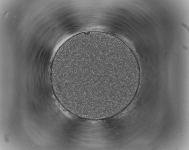 X0000102230816200808221307