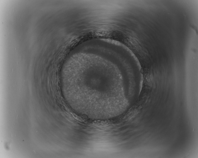 X0000102230817200808221306
