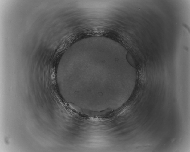 X0000102230818200808221306