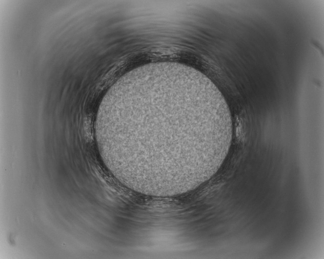 X0000102230819200808221306