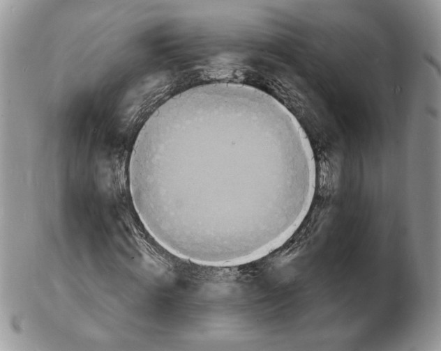 X0000102230820200808221306