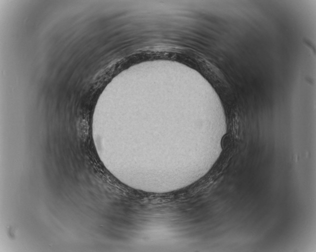 X0000102230821200808221306