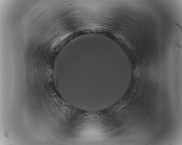 X0000102230822200808221306