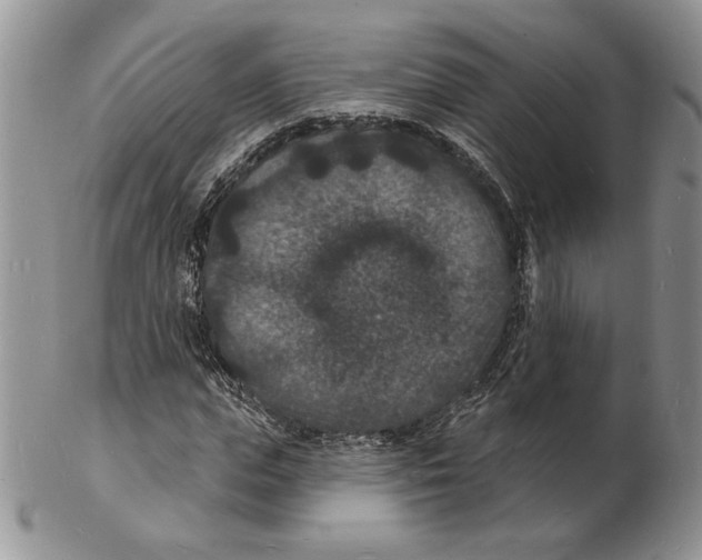 X0000102230823200808221306