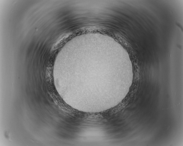 X0000102230824200808221306
