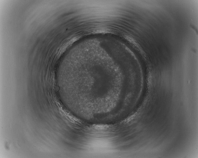 X0000102230825200808221306