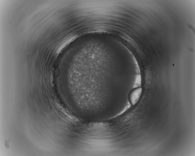 X0000102230826200808221306