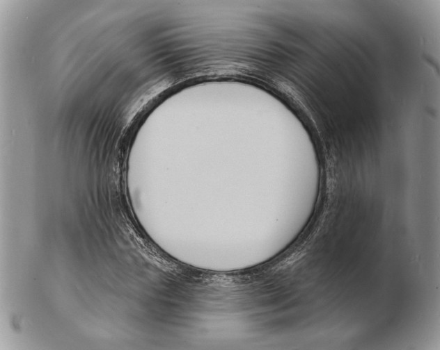 X0000102230827200808221306