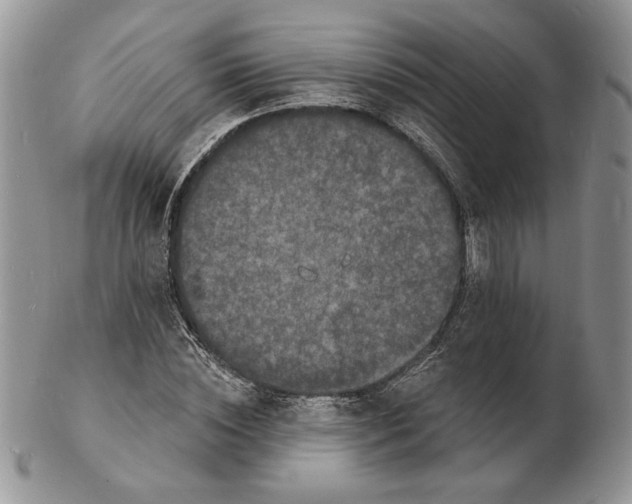 X0000102230828200808221306