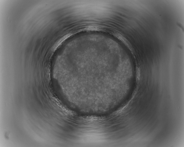 X0000102230829200808221306
