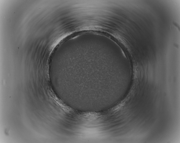 X0000102230830200808221306