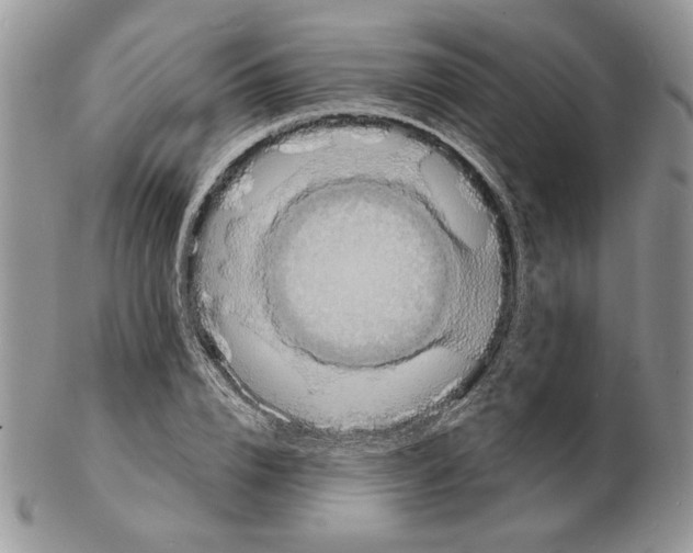 X0000102230832200808221306