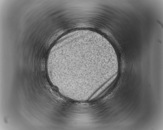 X0000102230833200808221306