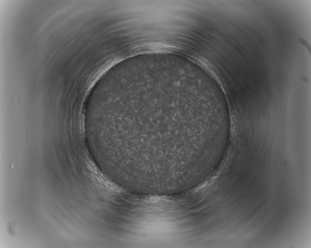 X0000102230835200808221306