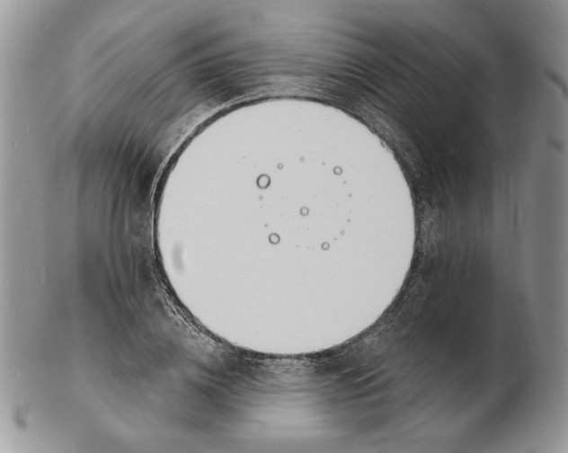 X0000102230836200808221306
