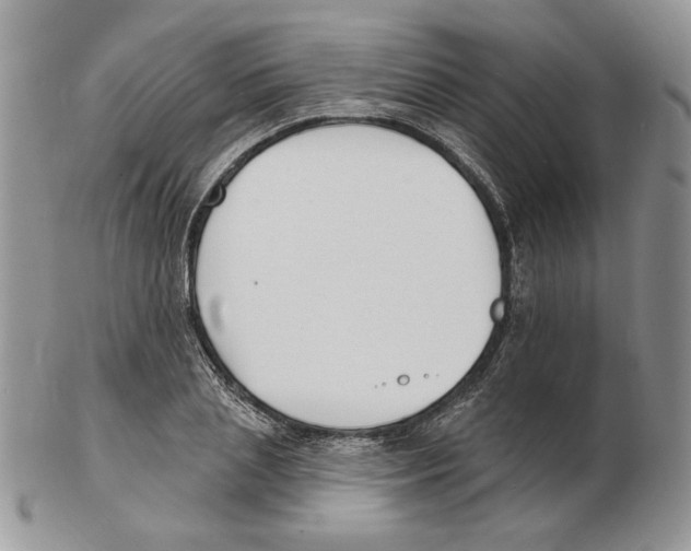 X0000102230837200808221306