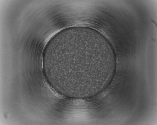 X0000102230838200808221306