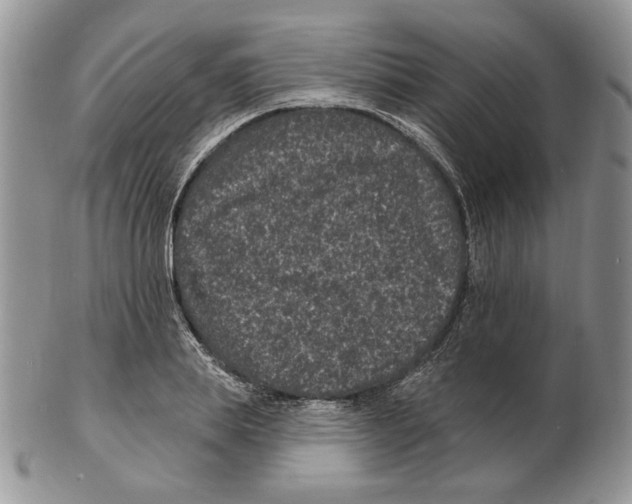 X0000102230839200808221306