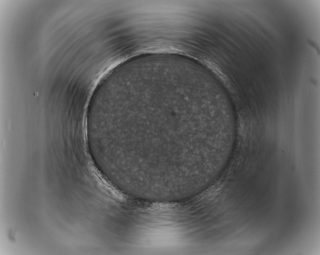 X0000102230840200808221306