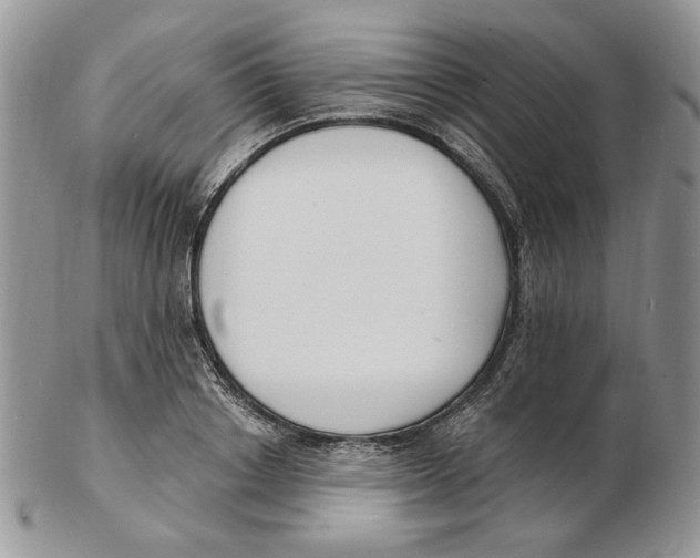X0000102230842200808221306