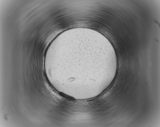 X0000102230844200808221306