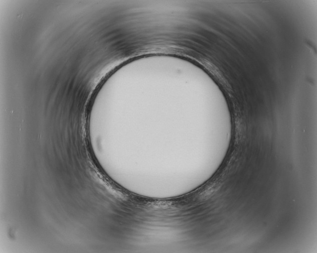 X0000102230846200808221306