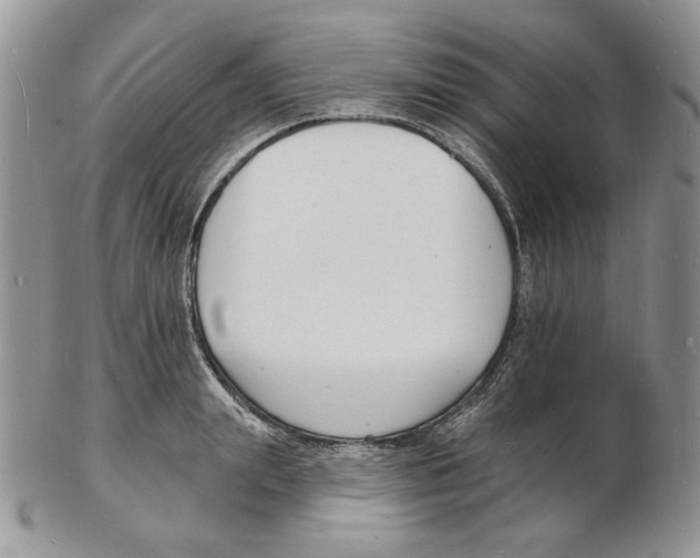 X0000102230847200808221306