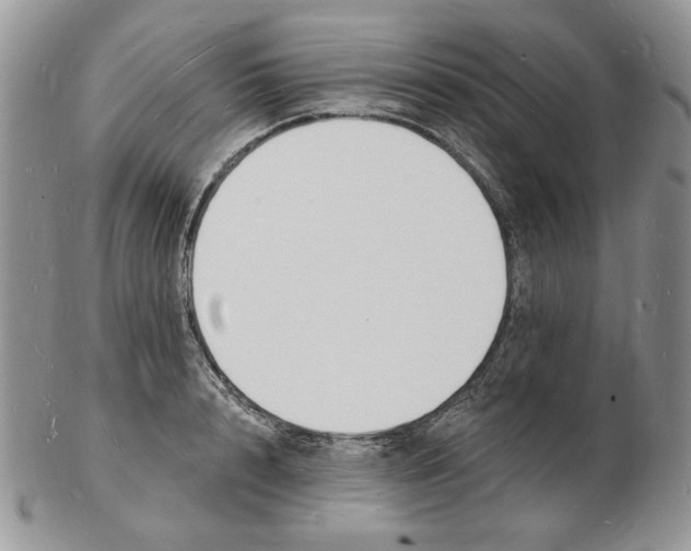 X0000102230848200808221306