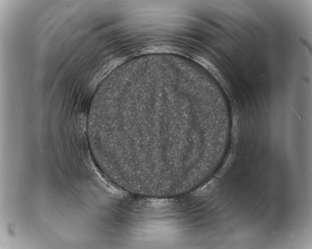 X0000102230849200808221306