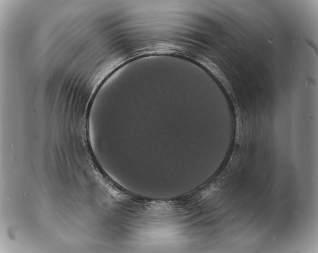 X0000102230850200808221306