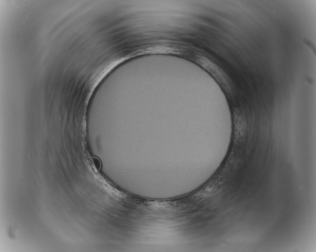 X0000102230852200808221306