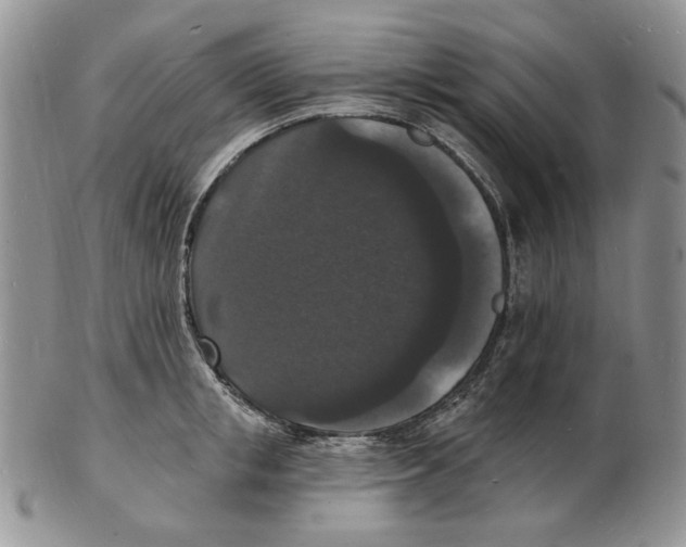 X0000102230853200808221306