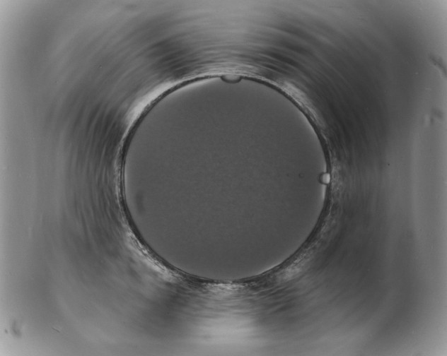 X0000102230854200808221306