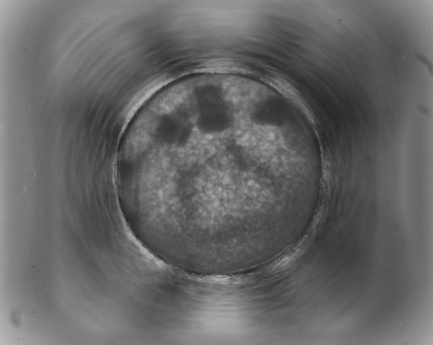 X0000102230855200808221306