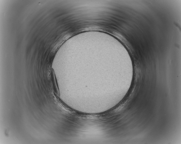 X0000102230857200808221306