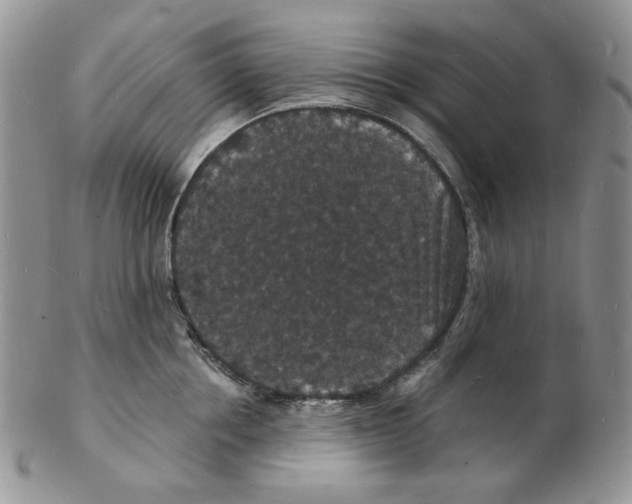 X0000102230858200808221306