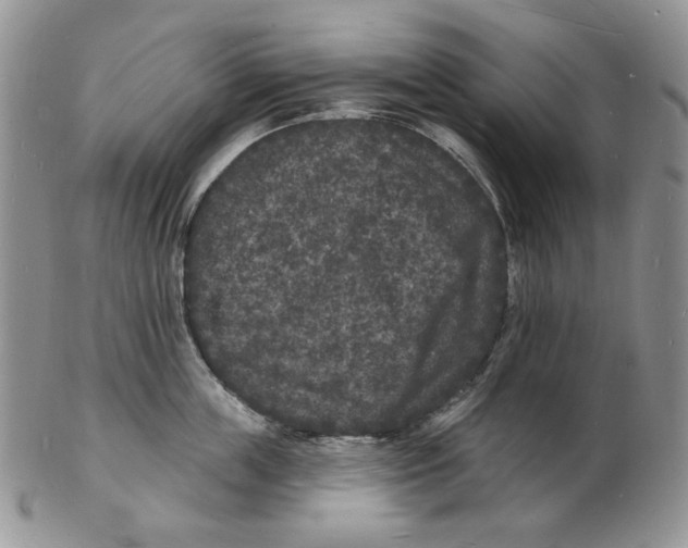 X0000102230859200808221306