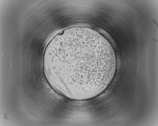 X0000102230860200808221306