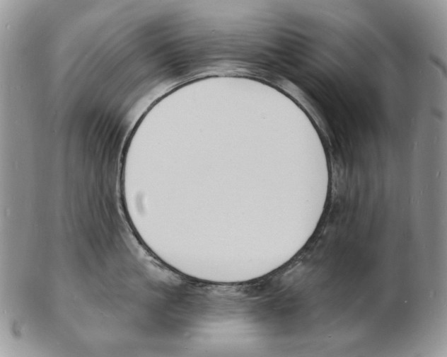 X0000102230861200808221306