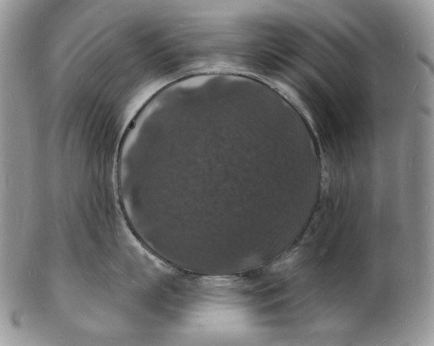 X0000102230863200808221307