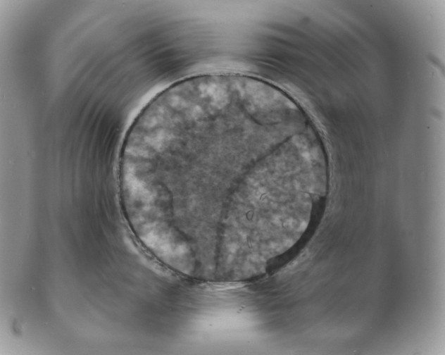X0000102230864200808221307