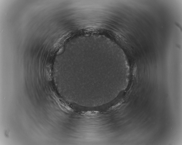 X0000102230868200808221306