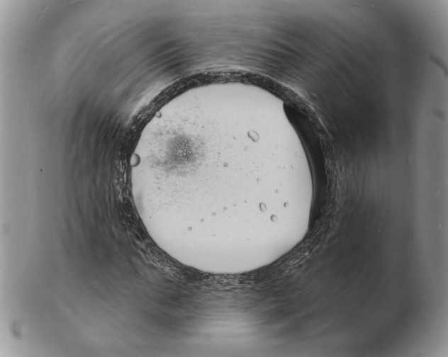 X0000102230871200808221306