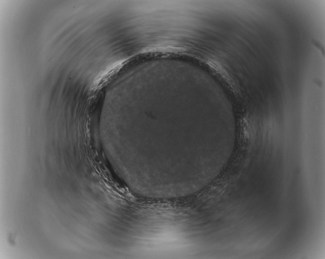 X0000102230872200808221306