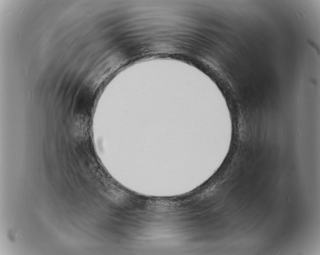 X0000102230873200808221306
