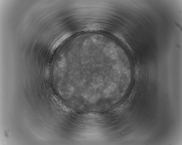 X0000102230874200808221306