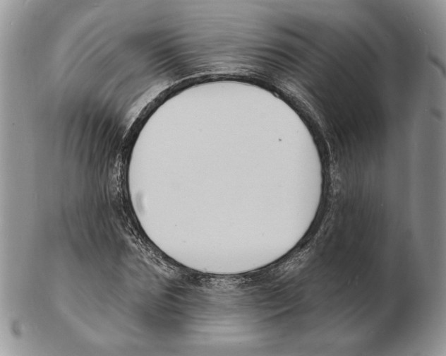 X0000102230875200808221306