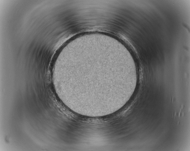 X0000102230876200808221306