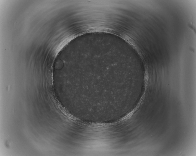 X0000102230877200808221306