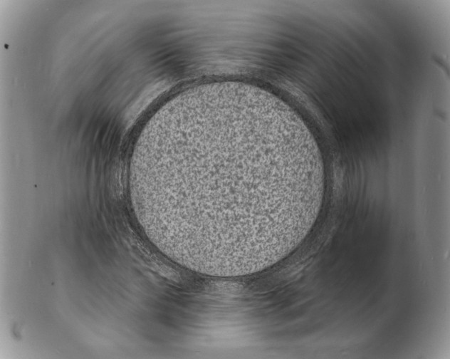 X0000102230878200808221306